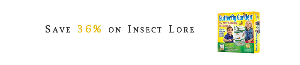 Insect Lore