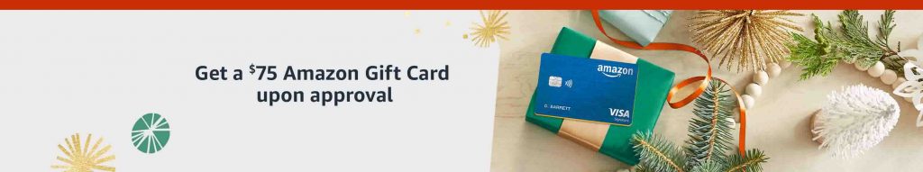 Amazon Rewards Visa Signature Card