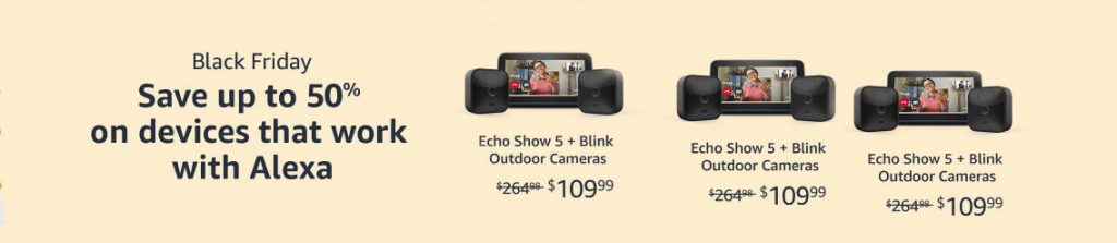 Blink Outdoor 2 Cam Kit bundle with Echo Show 5