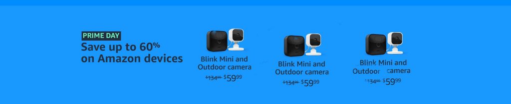 Blink Mini