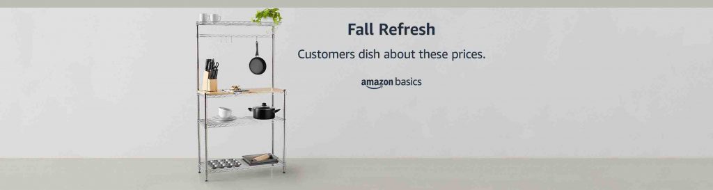 PROMOS for Amazon Brands AmazonBasics